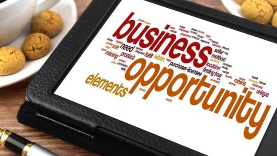 Why You Need Online Business Courses to Start Your Online Opportunity